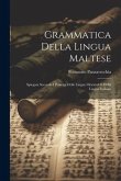 Grammatica Della Lingua Maltese: Spiegata Secondo I Principj Delle Lingue Orientali E Della Lingua Italiana