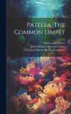 Patella, The Common Limpet