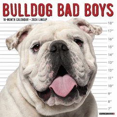 Bulldog Bad Boys 2024 12 X 12 Wall Calendar - Willow Creek Press