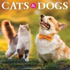 Cats & Dogs 2024 12 X 12 Wall Calendar