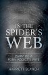 In the Spider's Web - Bild 1