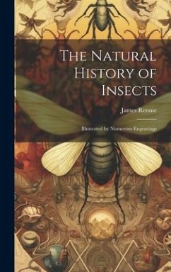 The Natural History of Insects: Illustrated by Numerous Engravings - Rennie, James