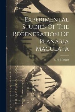 Experimental Studies Of The Regeneration Of Planaria Maculata - Morgan, T. H.