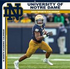 Notre Dame Fighting Irish 2024 12x12 Team Wall Calendar