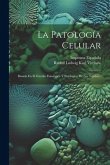 La Patología Celular: Basada En El Estudio Fisiológico Y Patológico De Los Tejidos...