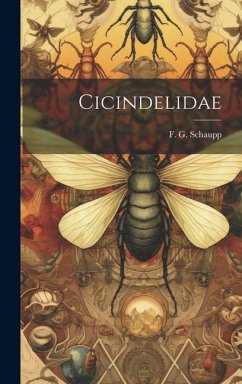 Cicindelidae - Schaupp, F. G.