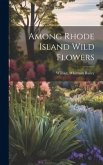 Among Rhode Island Wild Flowers