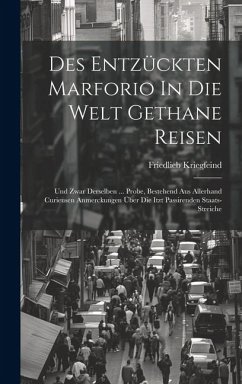 Des Entzückten Marforio In Die Welt Gethane Reisen: Und Zwar Derselben ... Probe, Bestehend Aus Allerhand Curieusen Anmerckungen Über Die Itzt Passire - Kriegfeind, Friedlieb