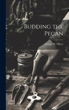 Budding the Pecan - Oliver, George W.