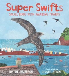 Super Swifts: Small Birds with Amazing Powers - Anderson, Justin