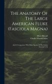 The Anatomy Of The Large American Fluke (fasciola Magna): And A Comparison With Other Species Of The Genus Fasciola, S. St