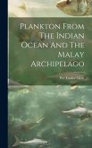 Plankton From The Indian Ocean And The Malay Archipelago