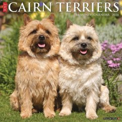 Just Cairn Terriers 2024 12 X 12 Wall Calendar - Willow Creek Press