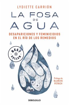La Fosa de Agua: Desapariciones Y Feminicidios En El Río de Los Remedios / The W Ater Pit: Disappearances and Feminicide in the Remedios River - Carrión, Lydiette