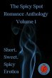 The Spicy Spot Romance Anthology Vol. 1... - Bild 1
