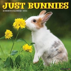 Just Bunnies 2024 12 X 12 Wall Calendar - Willow Creek Press