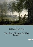 The Boy Chums In The Forest