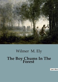 The Boy Chums In The Forest - M. Ely, Wilmer