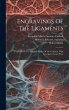 Engravings Of The Ligaments: Copied... - Bild 1