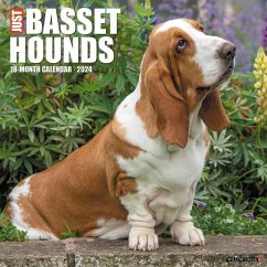 Just Basset Hounds 2024 12 X 12 Wall Calendar - Willow Creek Press