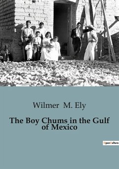 The Boy Chums in the Gulf of Mexico - M. Ely, Wilmer