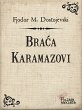 Braca Karamazovi (eBook, ePUB) - Bild 1