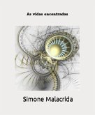 As vidas encontradas (eBook, ePUB)