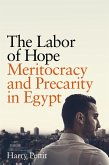 The Labor of Hope (eBook, ePUB)