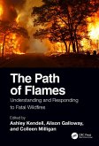 The Path of Flames (eBook, ePUB)