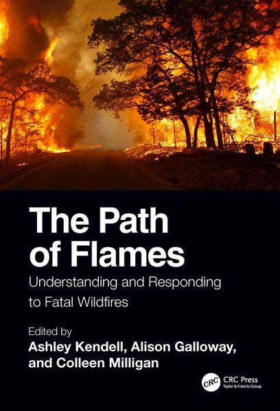 The Path of Flames (eBook, ePUB)