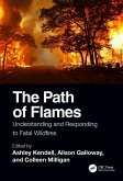 The Path of Flames (eBook, PDF)