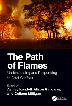 The Path of Flames (eBook, PDF)