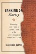 Banking on Slavery (eBook, ePUB) - Bild 1