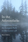 In the Adirondacks (eBook, PDF)