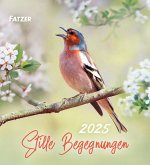 Stille Begegnungen 2025