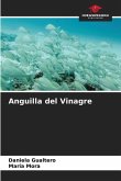 Anguilla del Vinagre