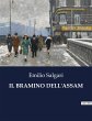IL BRAMINO DELL'ASSAM - Bild 1