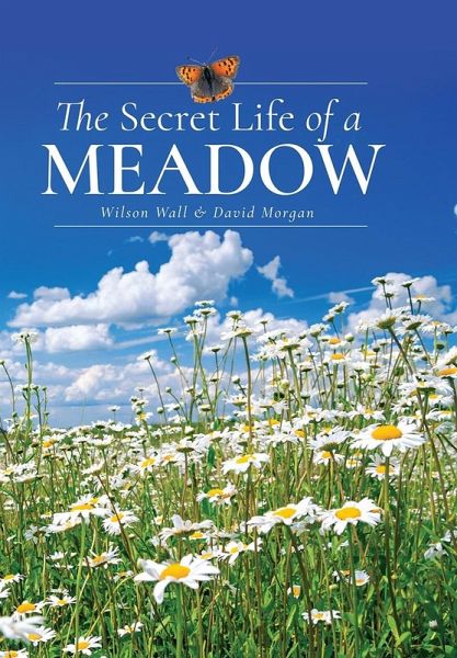 Secret Life of a Meadow (eBook, PDF) Secret Life of a Meadow (eBook, PDF)