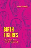 Birth Figures (eBook, ePUB) Birth Figures (eBook, ePUB)