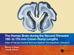 The Human Brain during the Second Trimester 160- to 170-mm Crown-Rump Lengths (eBook, ePUB)