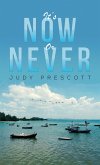 It's Now or Never (eBook, ePUB)