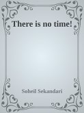 There is no Time! (eBook, ePUB)