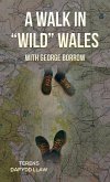 Walk in &quote;Wild&quote; Wales with George Borrow (eBook, ePUB)