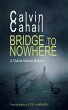 Bridge to Nowhere (A Detective Aldaine... - Bild 1