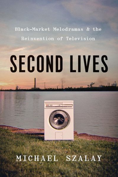 Second Lives (eBook, ePUB)