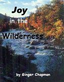 Joy in the Wilderness (eBook, ePUB)