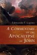 Commentary on the Apocalypse of John... - Bild 1