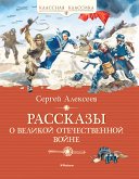 Рассказы о Великой Отечественной войне (eBook, ePUB)