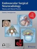 Endovascular Surgical Neuroradiology (eBook, ePUB)