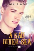 Salt Bitter Sea (eBook, ePUB)
